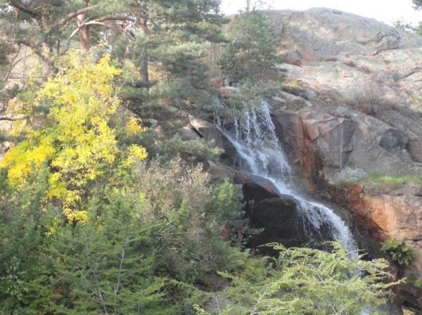 La cascada del Botánico a comienzos del otoño. Foto R.Puig