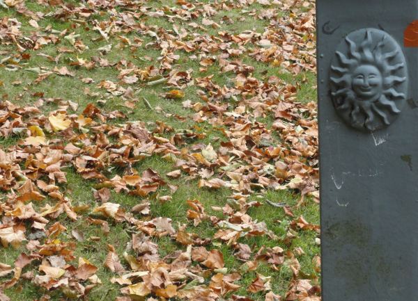 Tiempo de hojas caidas. Foto R.Puig