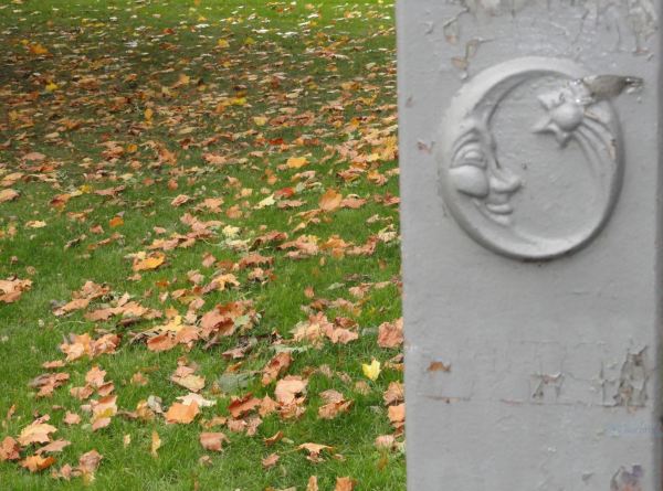 Tiempo de hojas caidas. Foto R.Puig