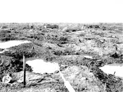 Cerca de Menin Road en el frente de Ypres