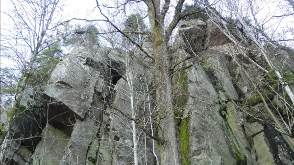 Faz de pocas junto al Rådasjön. 20 de noviembre una de la tarde. Foto R.Puig