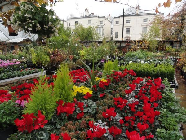 Little Venice. Foto R.Puig