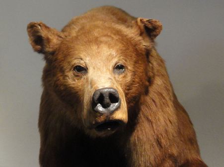 ¿Algo que objetar Foto R.Puig