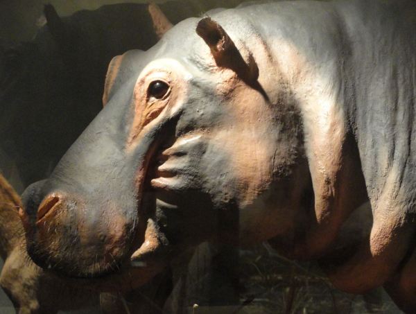 Aquí duermo.Foto R.Puig