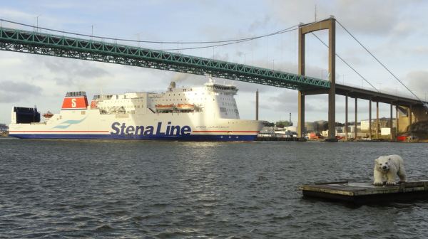 El oso y el gigante. Foto R.Puig