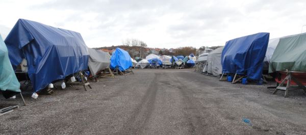 Esperando a la primavera Foto R.Puig