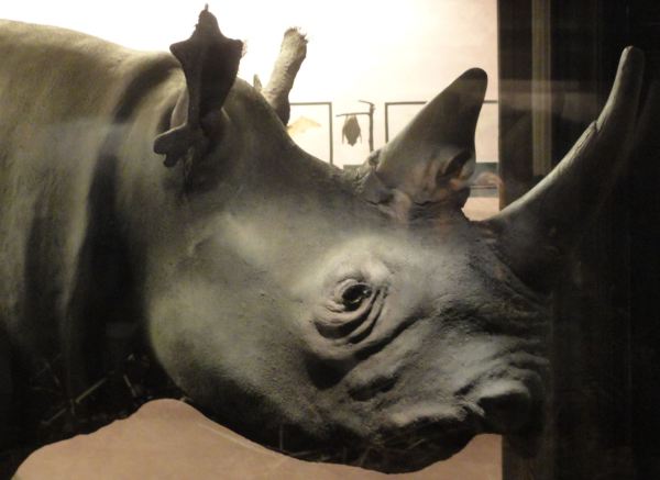 Ni pincho ni corto..Foto R.Puig