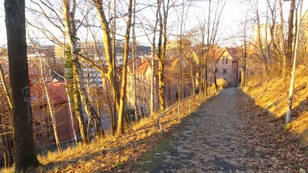 Senderos dorados. Foto R.Puig