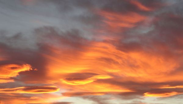 Cabelleras en el cielo. Foto R.Puig
