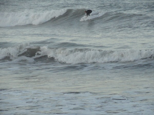 Els Poblets, Hawai. Foto R.Puig