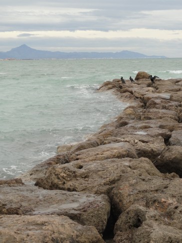 Sobre todo no resbalar. Foto R.Puig
