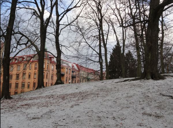 Tímida nieve. Foto R.Puig