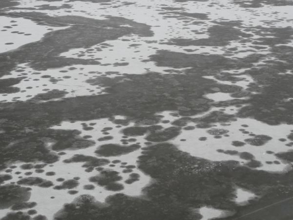 Piel de invierno. Foto R.Puig