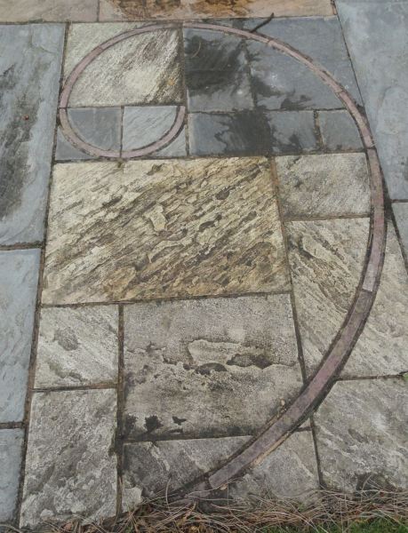 Espiral de Fibonacci. Botánico de Leicester. Foto R.Puig -