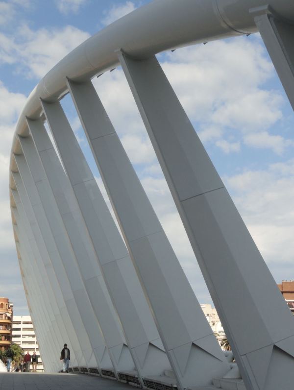 Valencia. El puente de la Peineta de Santiago Calatrava. Foto R.Puig
