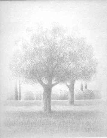 Xavier Valls. Jardin.1989