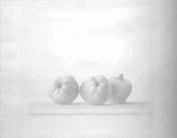 Xavier Valls. Tres membrillos1978