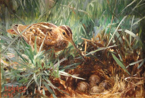 Bruno Lijefors. Agachadiza en su nido.1891. Galería Åmells. Estocolmo. Foto R.Puig