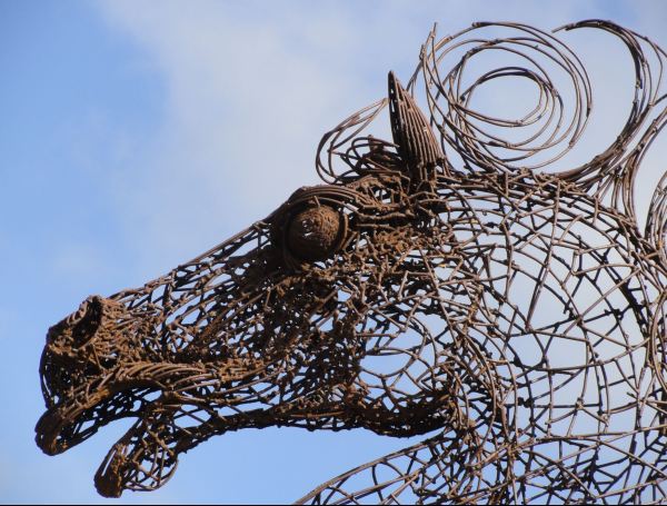 Caballo sirio. Mohannad Soleman. Pilane 2017. Foto R.Puig