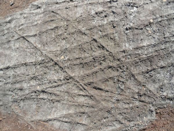 Lineas en el granito. Obra de los glaciares. Pilane 2017. Foto R.Puig