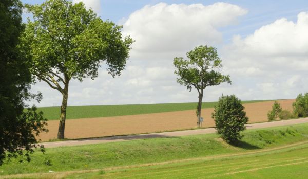 Camino a Barbençon. Foto R.Puig