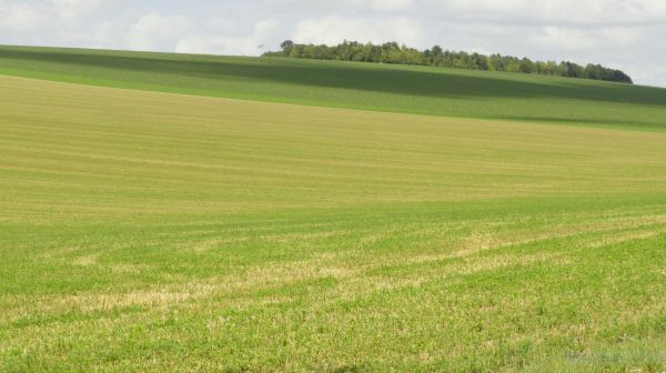 Entrando en Bélgica desde Champagne. Foto R.Puig
