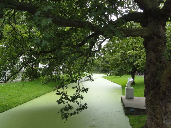 Rotterdam. Canal del Museumpark. Foto R.Puig