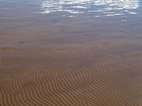 Aguas de la playa del lago Siljan en Rättvik. Dalarna. Suecia