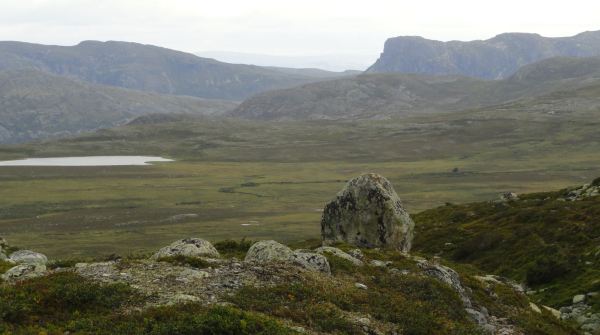 Camino de vuelta. Foto R.Puig
