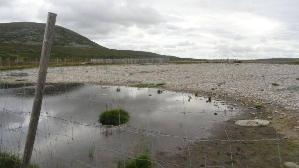 Cercado de un corral para el recuento anual de los renos. Foto R.Puig