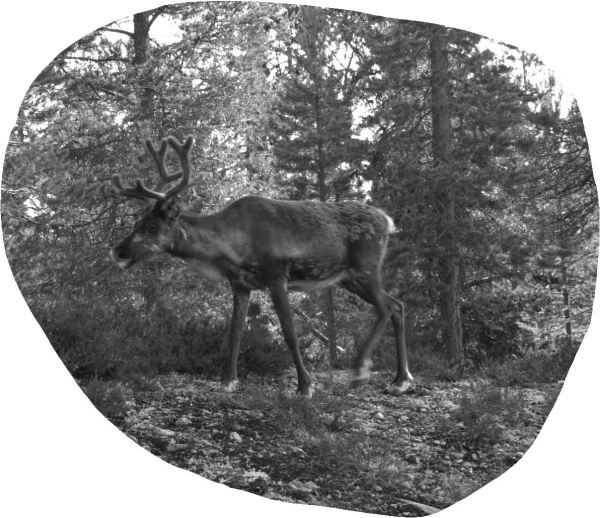 En el camino de vuelta. Foto R.Puig