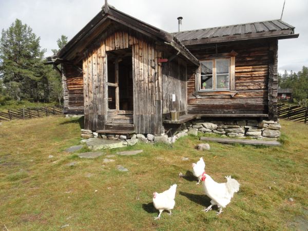 La granja de Valdalsbygget. Foto R.Puig