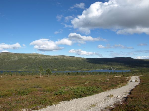 Ruta de Linneo. Foto R.Puig