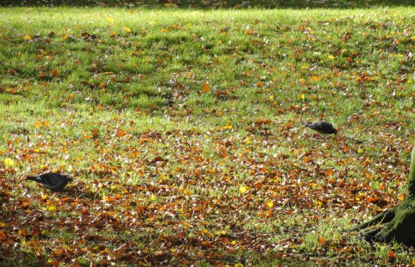 Carpe diem. Foto R.Puig