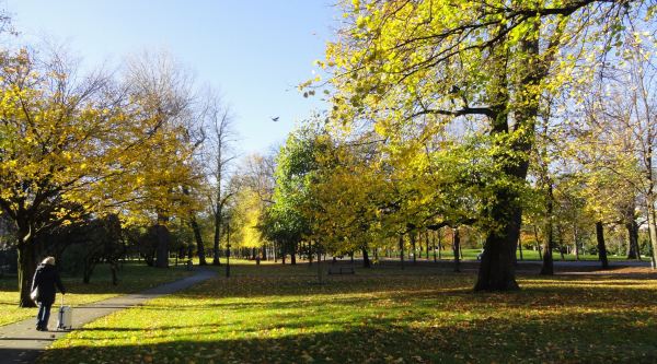 La arboleda en otoño. Foto R.Puig