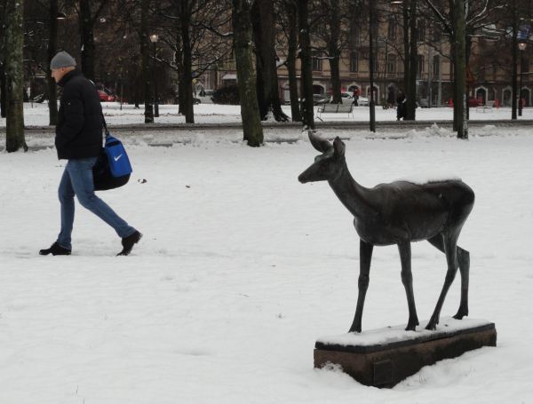 Ni caso. Foto R.Puig
