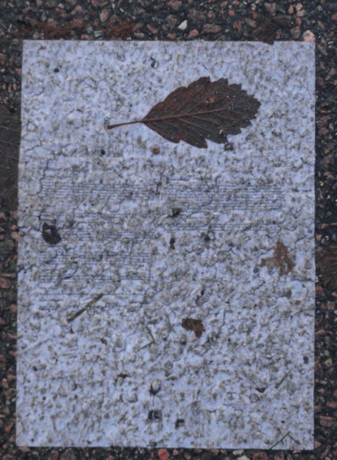 La misiva pisoteada. Foto R.Puig