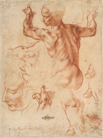 Michelangelo Buonarroti. Estudios para la Sibila Libia. Metropolitan N,Y