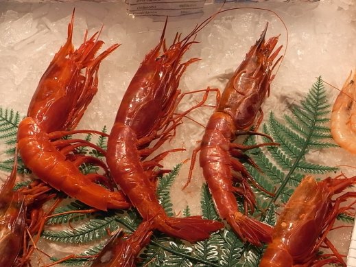 Hervidas sin permiso. Foto R.Puig