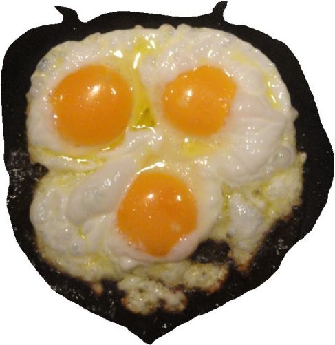 Ova furiosa. Foto R.Puig