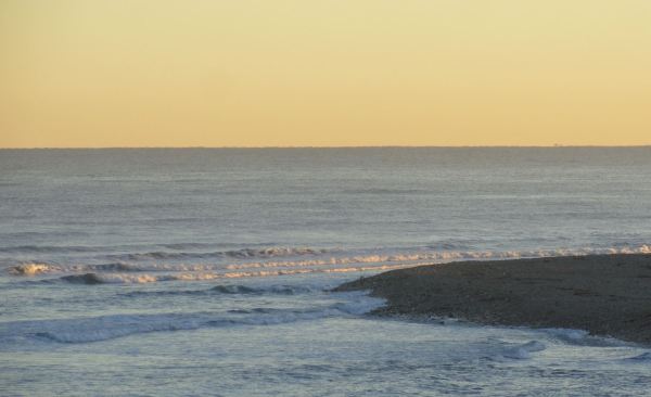 Alborea. Foto R.Puig