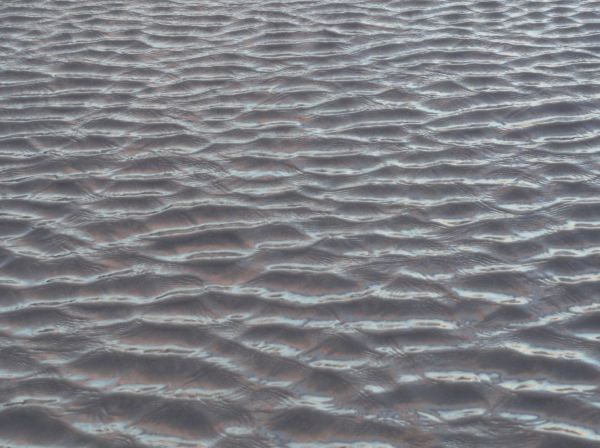 Fractales. Foto R. Puig