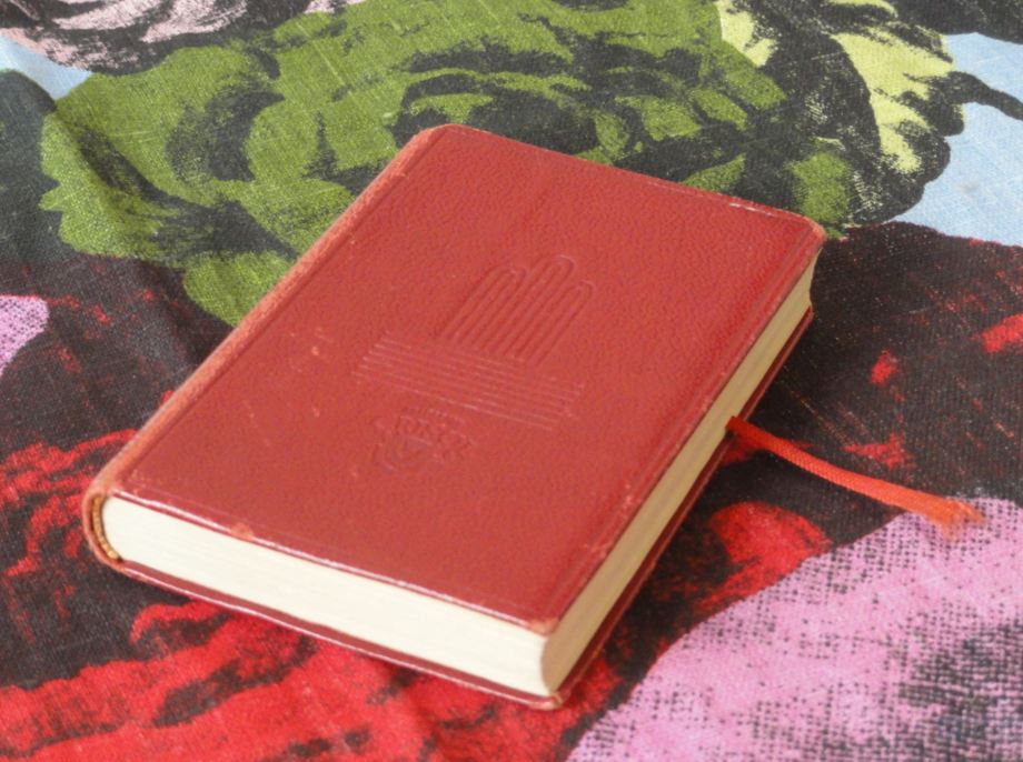 El libro aguarda. Foto R.Puig