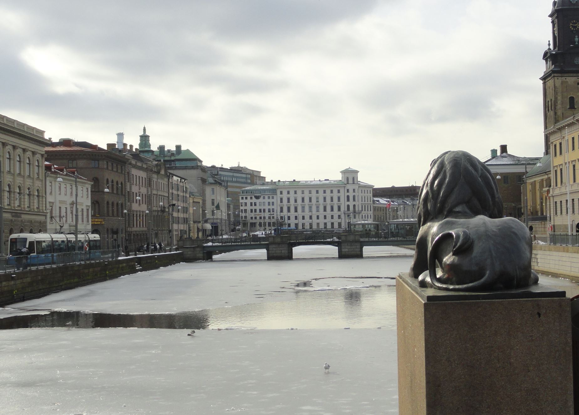 Marzo en el canal. Foto R.Puig