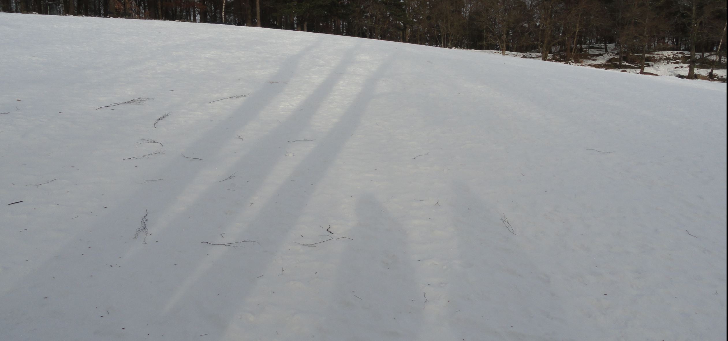 Siluetas en Delsjön. Foto R.Puig