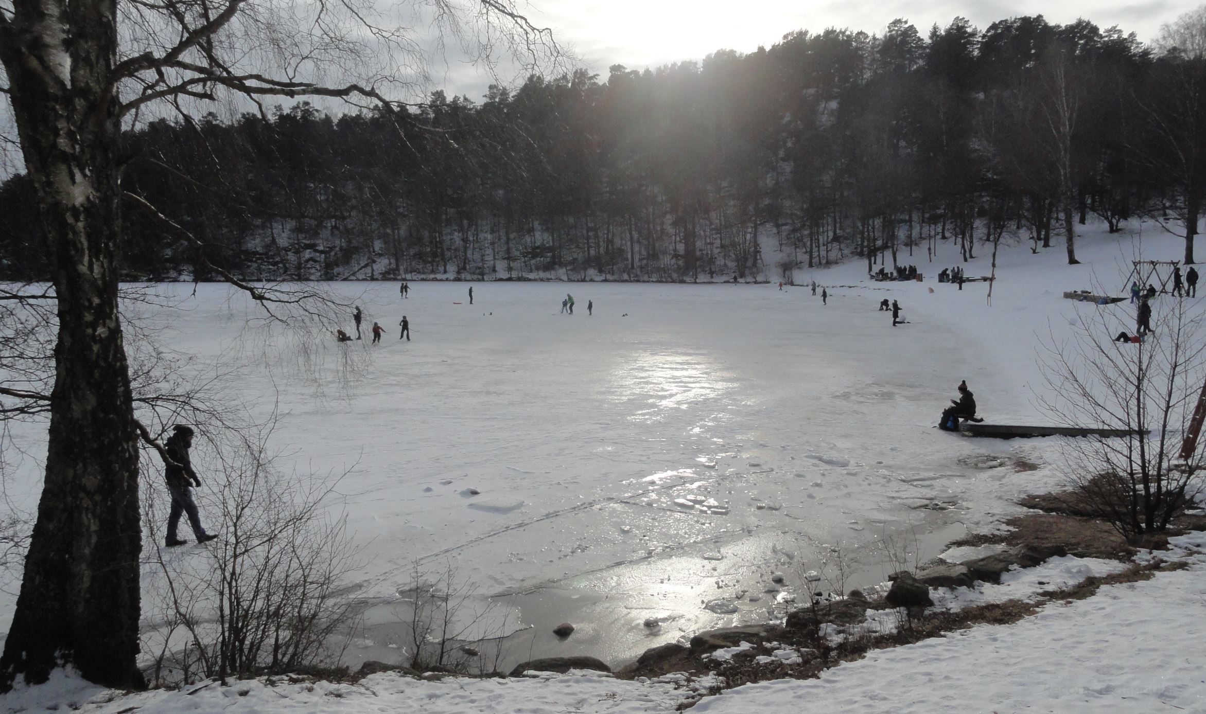 Sol de invierno en el Delsjön. Febrero 2018. Foto R.Puig