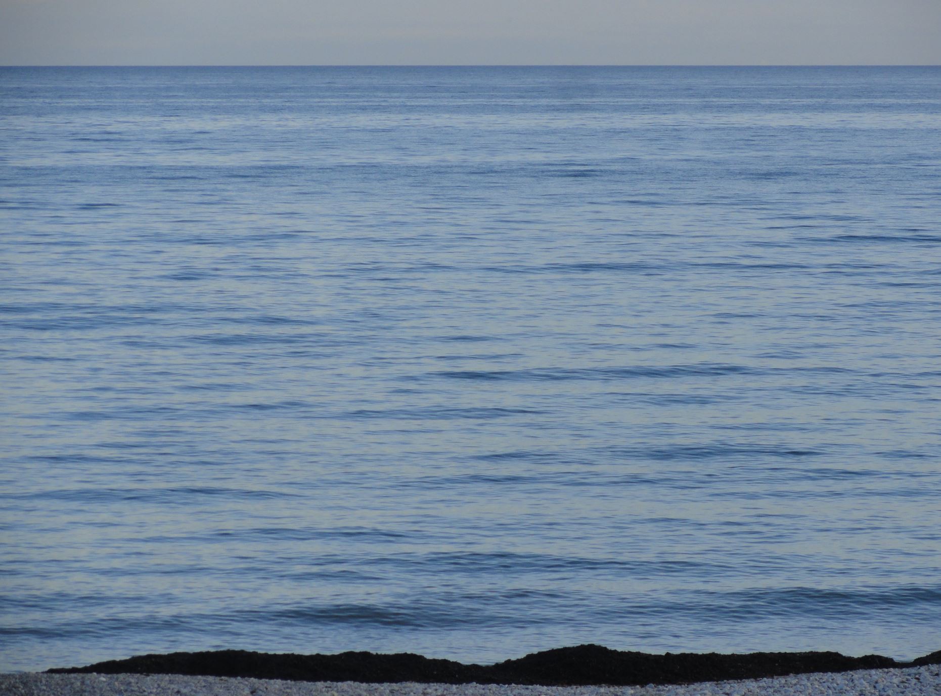 Azul y negro. Foto R.Puig
