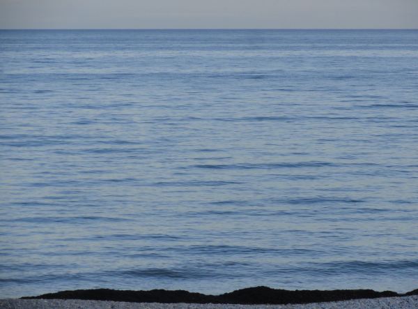 Azul y negro. Foto R.Puig