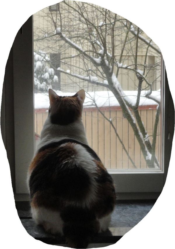 Bella y la primavera. Foto R.Puig