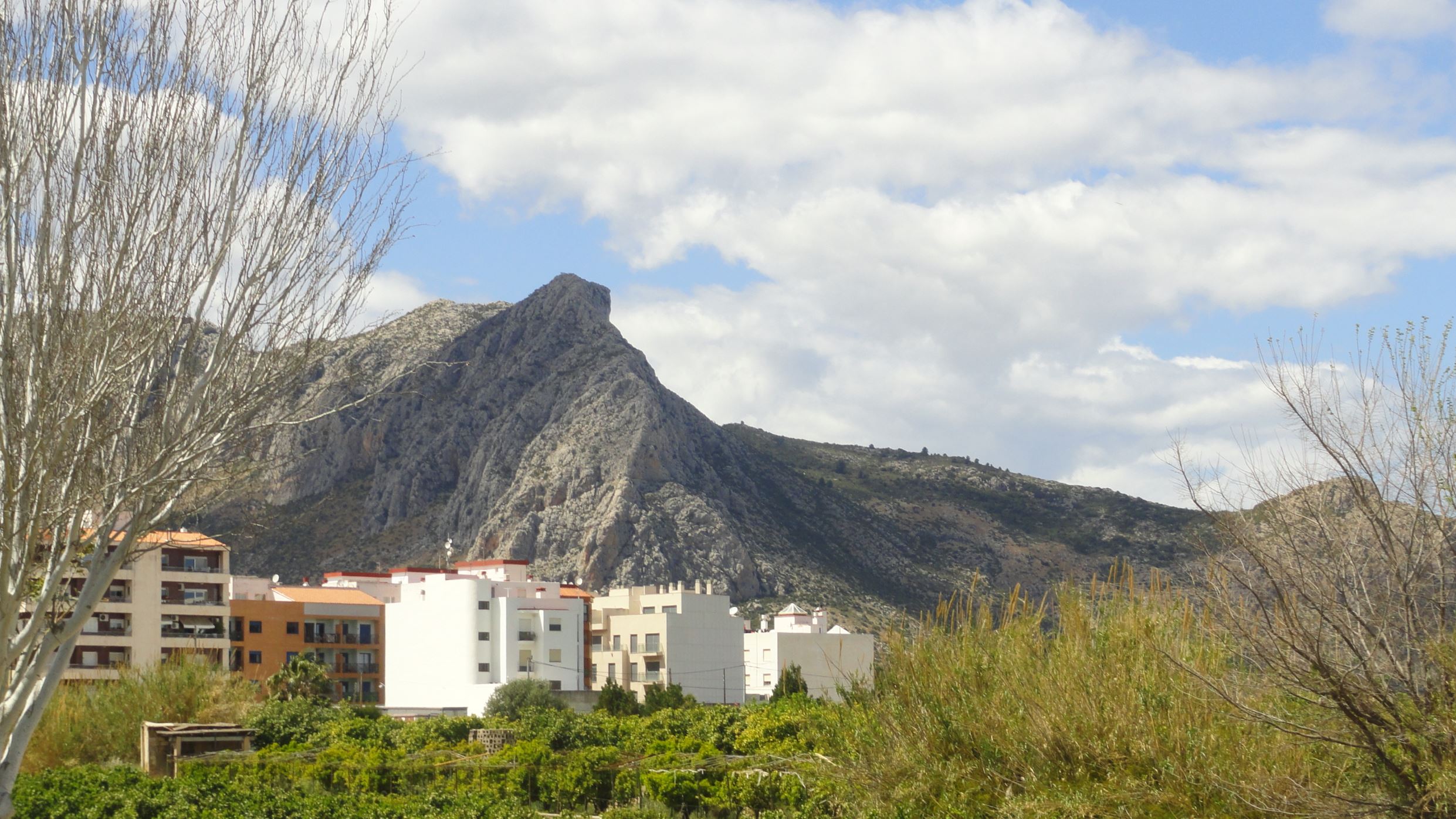 El Segaria desde Ondara. Foto R.Puig